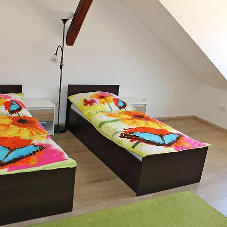 Attic With Parking, Near The Center Of Cb - 110m2 צ'סקה בודיוביצה